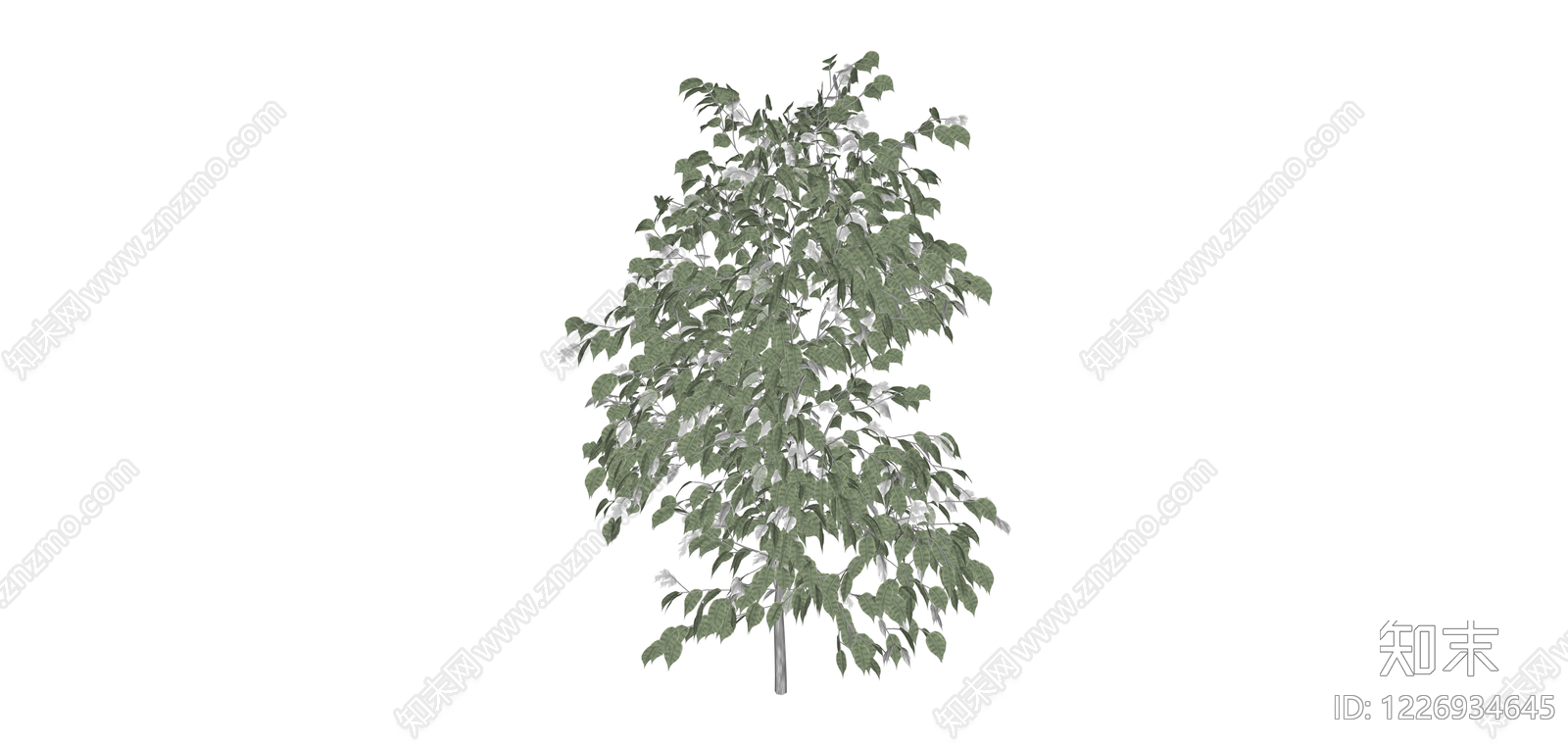 带盆完整树木SU模型下载【ID:1226934645】