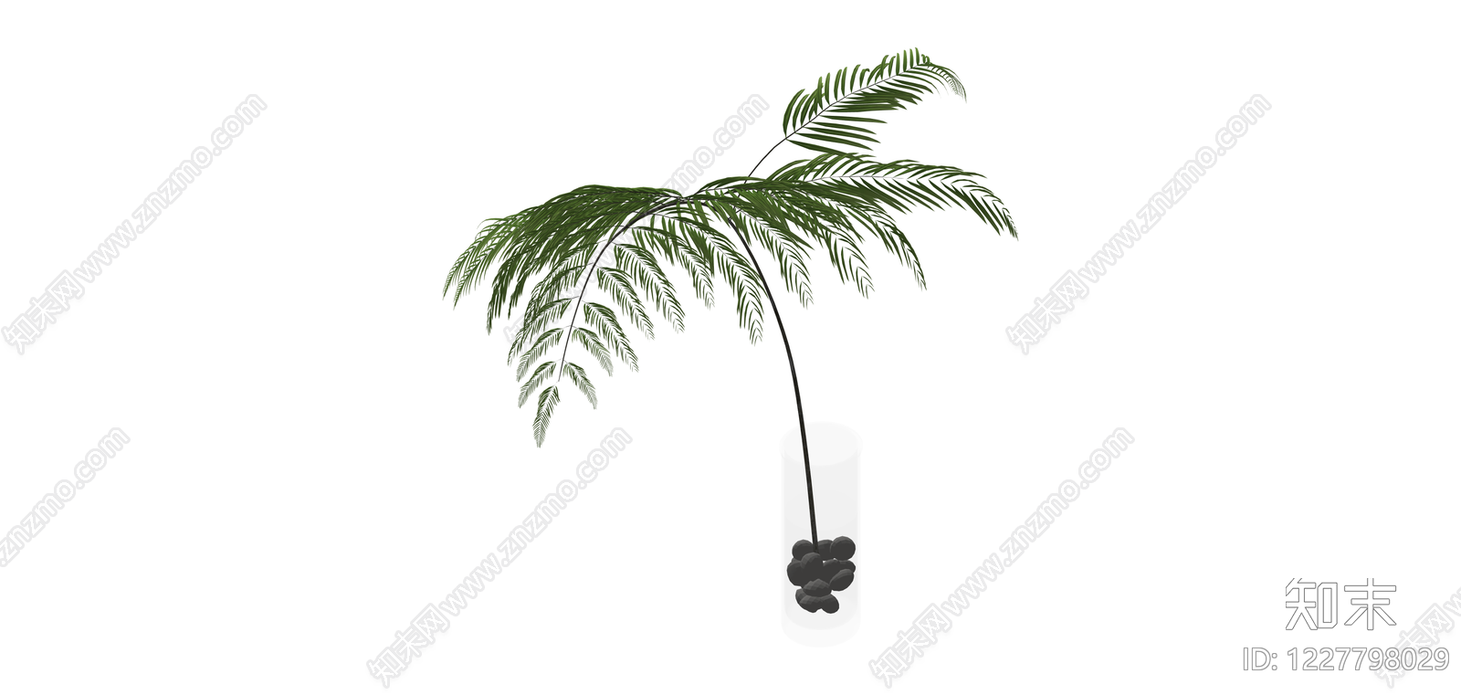 带盆蕨类盆栽SU模型下载【ID:1227798029】