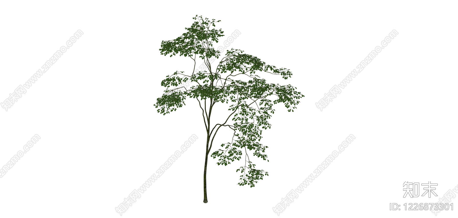 独立景观树木模型SU模型下载【ID:1226873301】