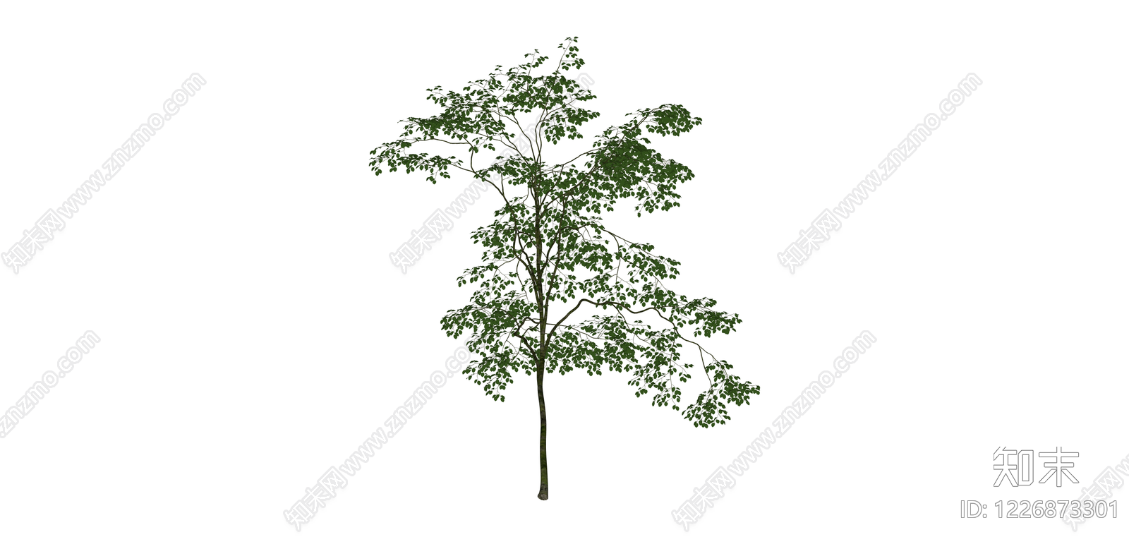 独立景观树木模型SU模型下载【ID:1226873301】