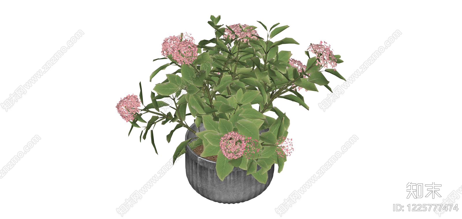 粉色绣球盆栽绿植SU模型下载【ID:1225777474】