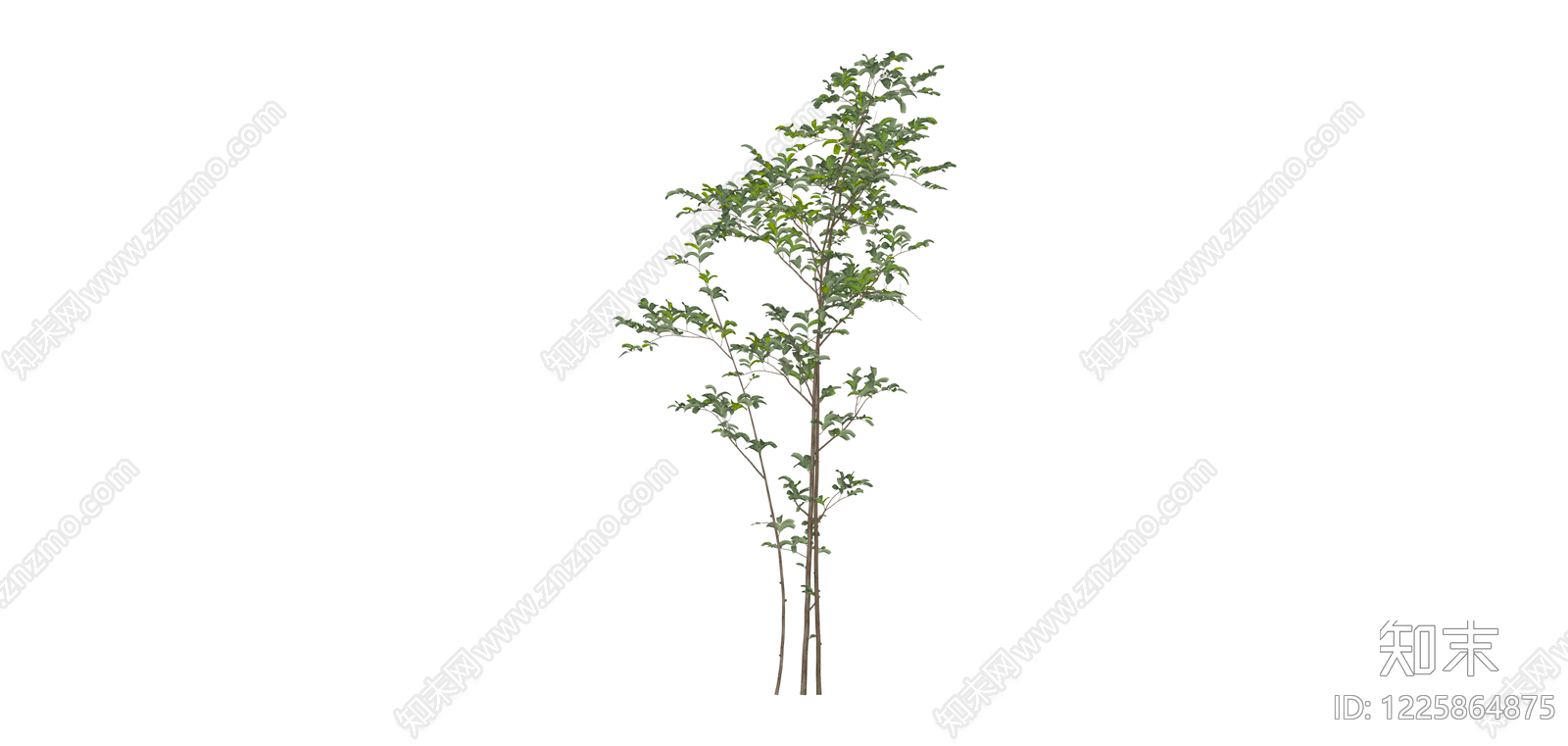 丛生灌木绿植模型SU模型下载【ID:1225864875】