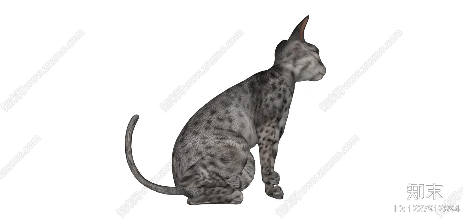 灰斑纹猫坐姿模型SU模型下载【ID:1227912894】