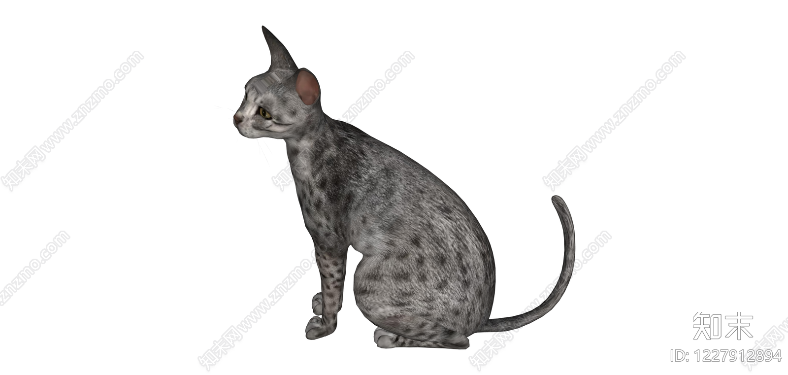 灰斑纹猫坐姿模型SU模型下载【ID:1227912894】