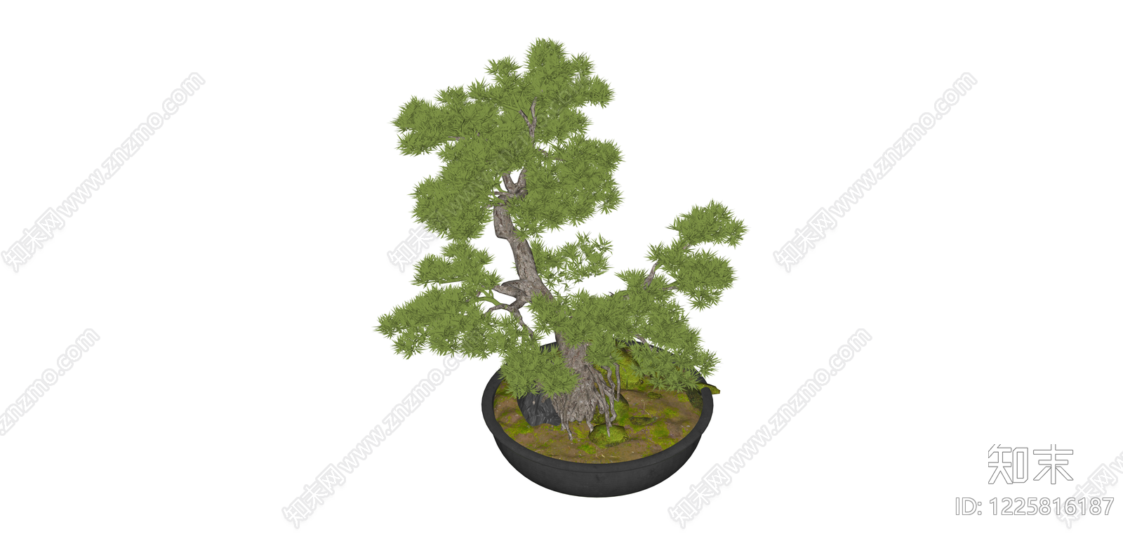 盆栽松树景观SU模型下载【ID:1225816187】