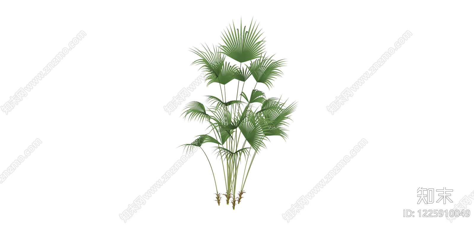 丛生散尾葵绿植SU模型下载【ID:1225910049】