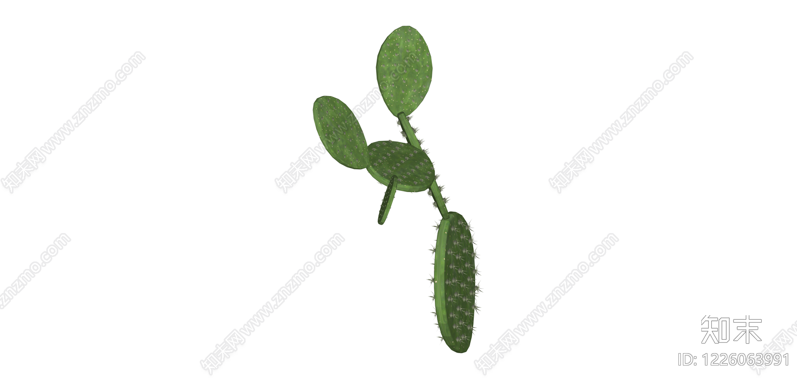 仙人掌植物模型SU模型下载【ID:1226063991】