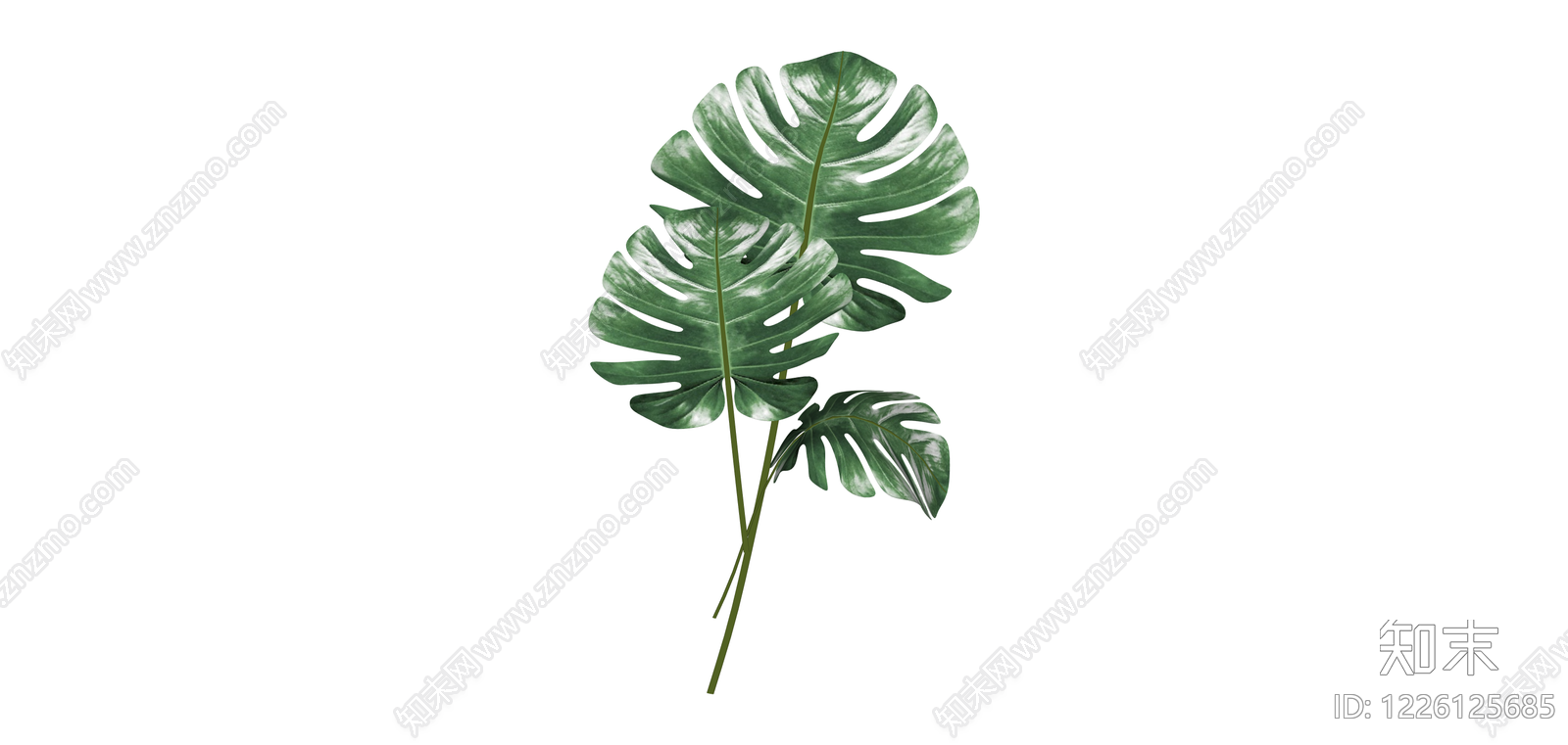 龟背竹绿植组合SU模型下载【ID:1226125685】