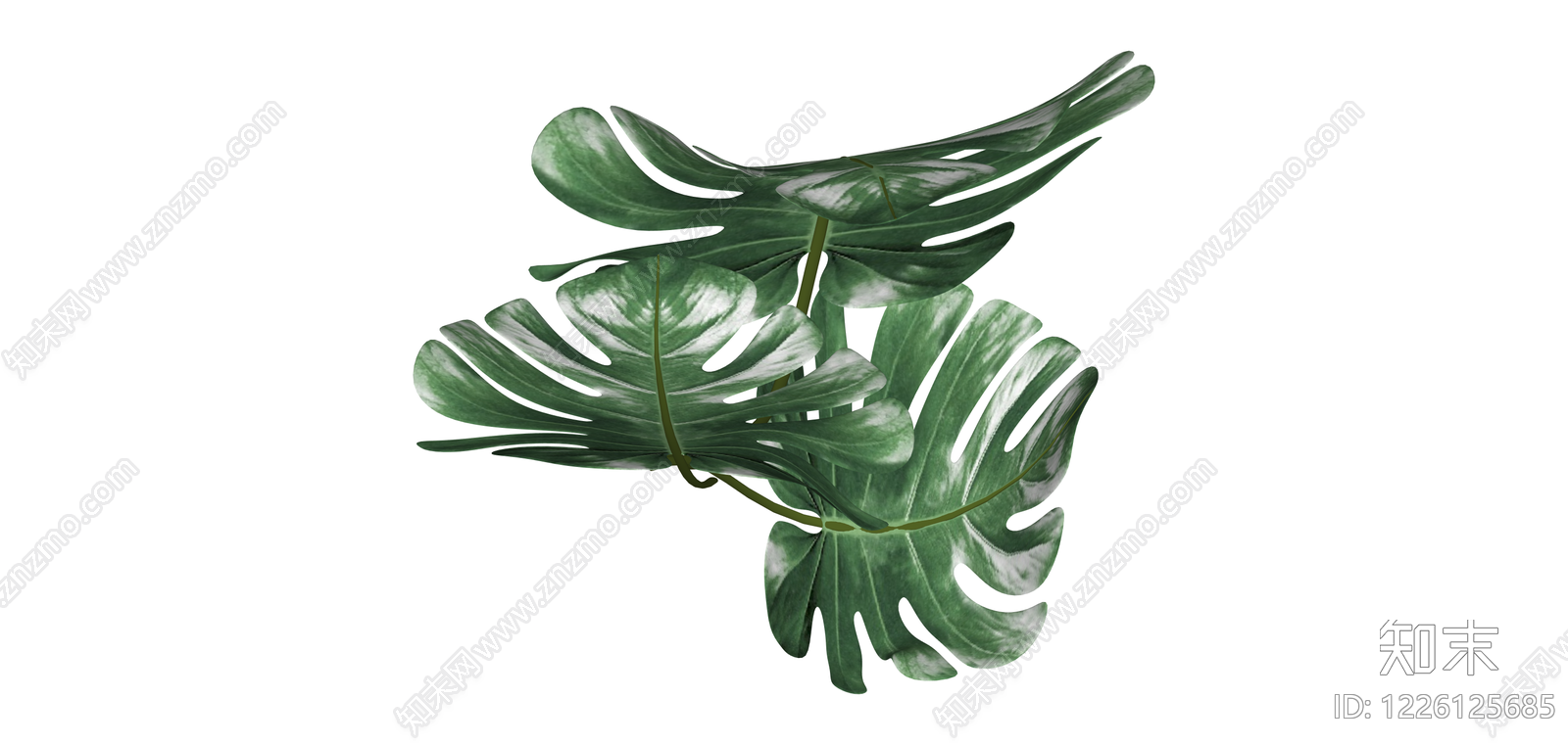 龟背竹绿植组合SU模型下载【ID:1226125685】