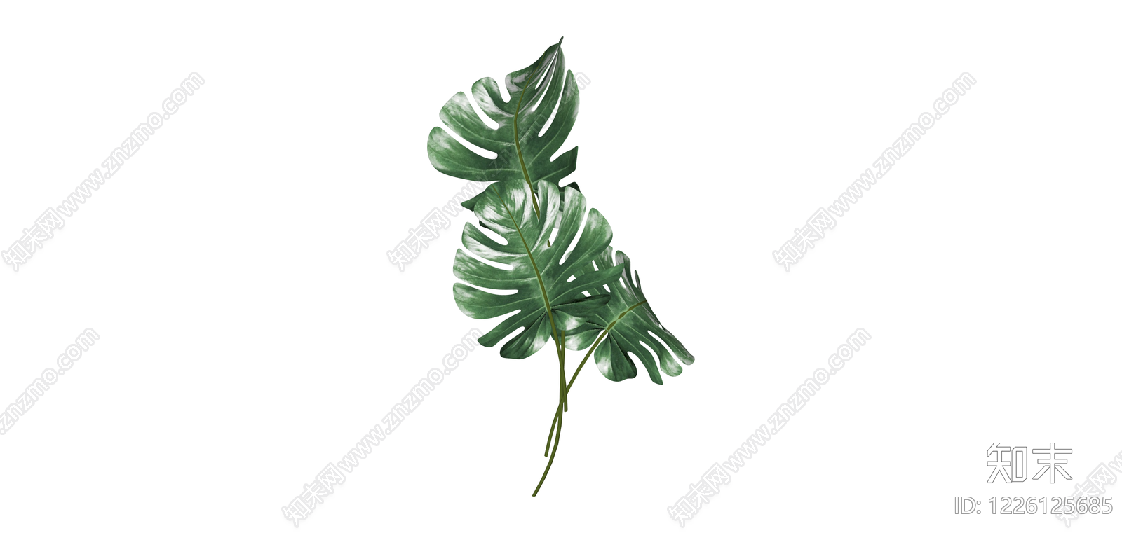 龟背竹绿植组合SU模型下载【ID:1226125685】