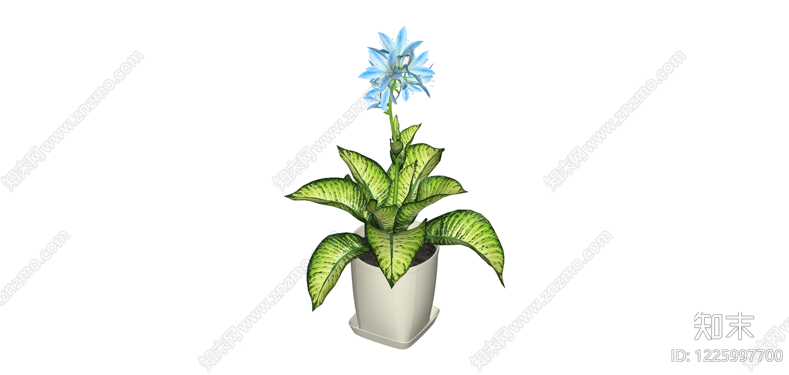 带盆盆栽植物SU模型下载【ID:1225997700】