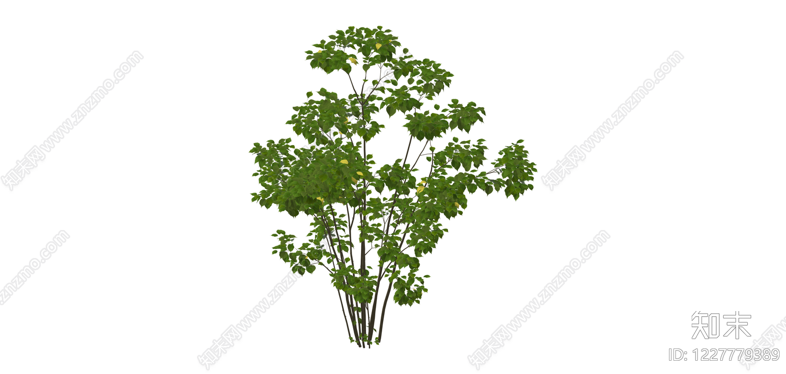 丛生灌木绿植模型SU模型下载【ID:1227779389】