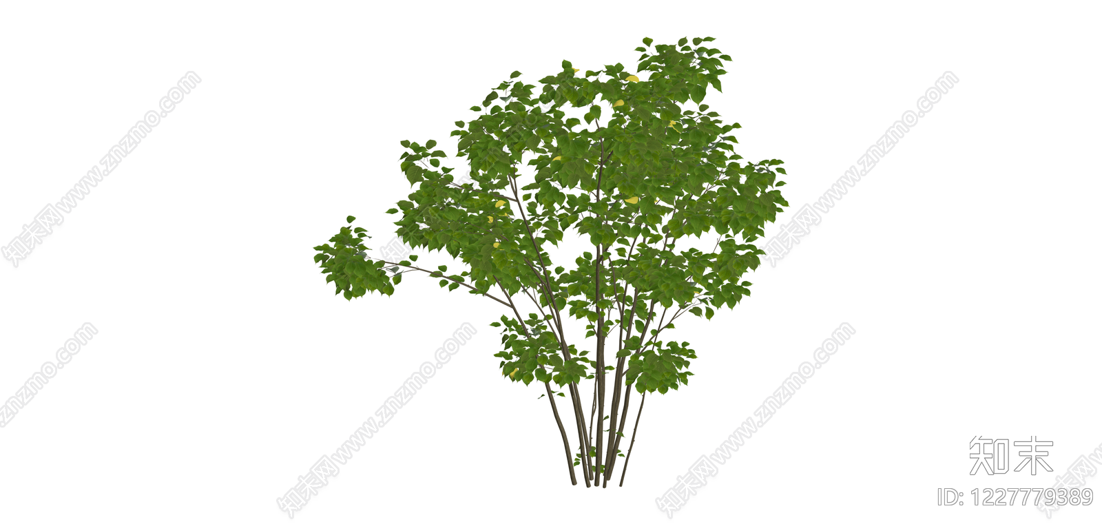 丛生灌木绿植模型SU模型下载【ID:1227779389】