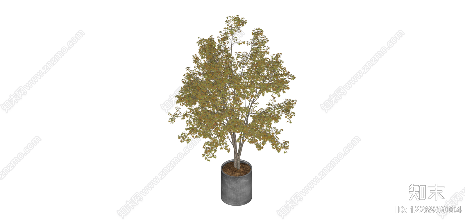盆栽观赏树木SU模型下载【ID:1226969004】