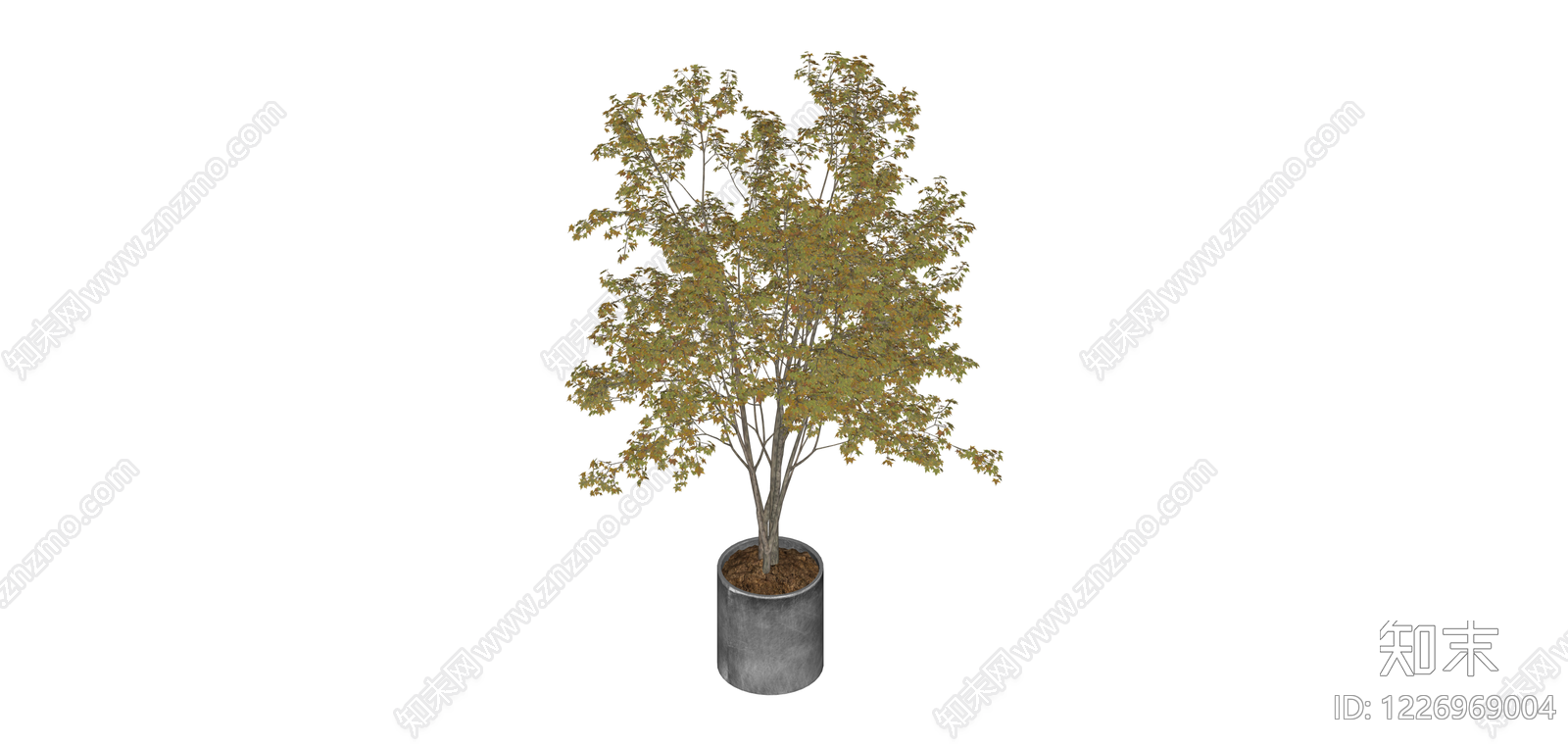 盆栽观赏树木SU模型下载【ID:1226969004】