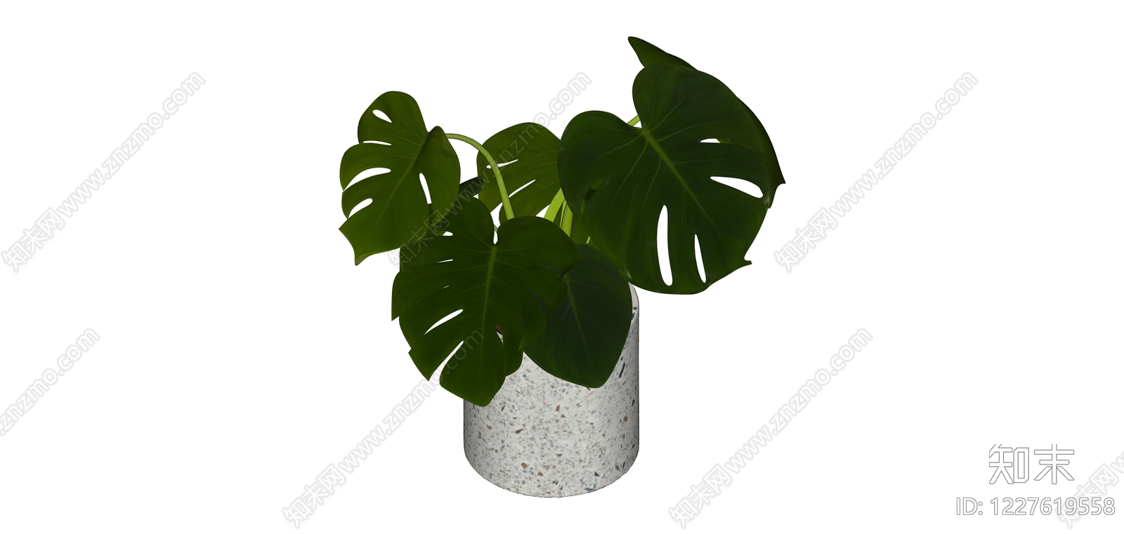 带盆龟背竹盆栽SU模型下载【ID:1227619558】