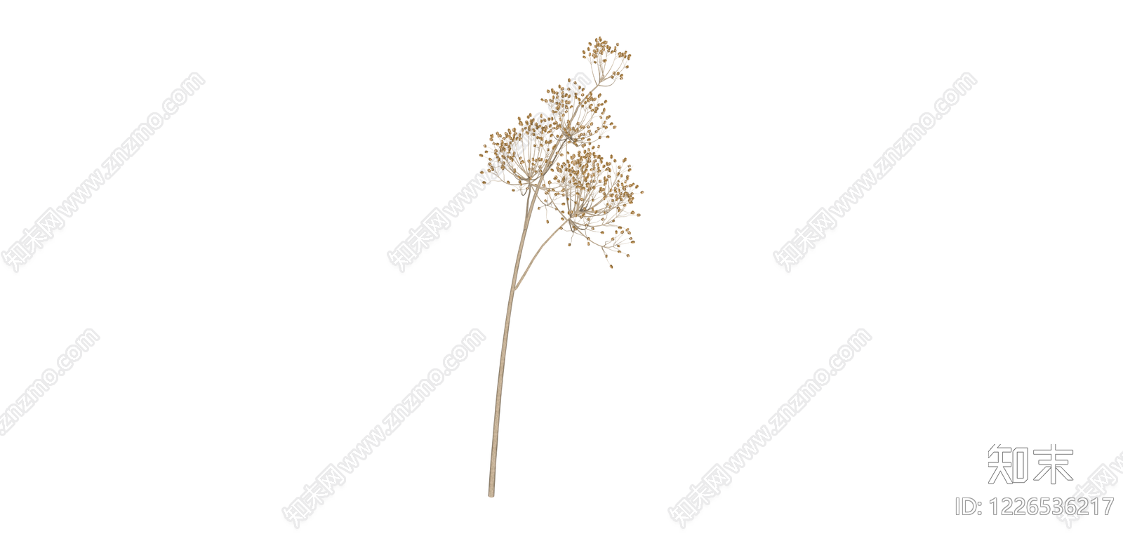干燥植物花艺组件SU模型下载【ID:1226536217】