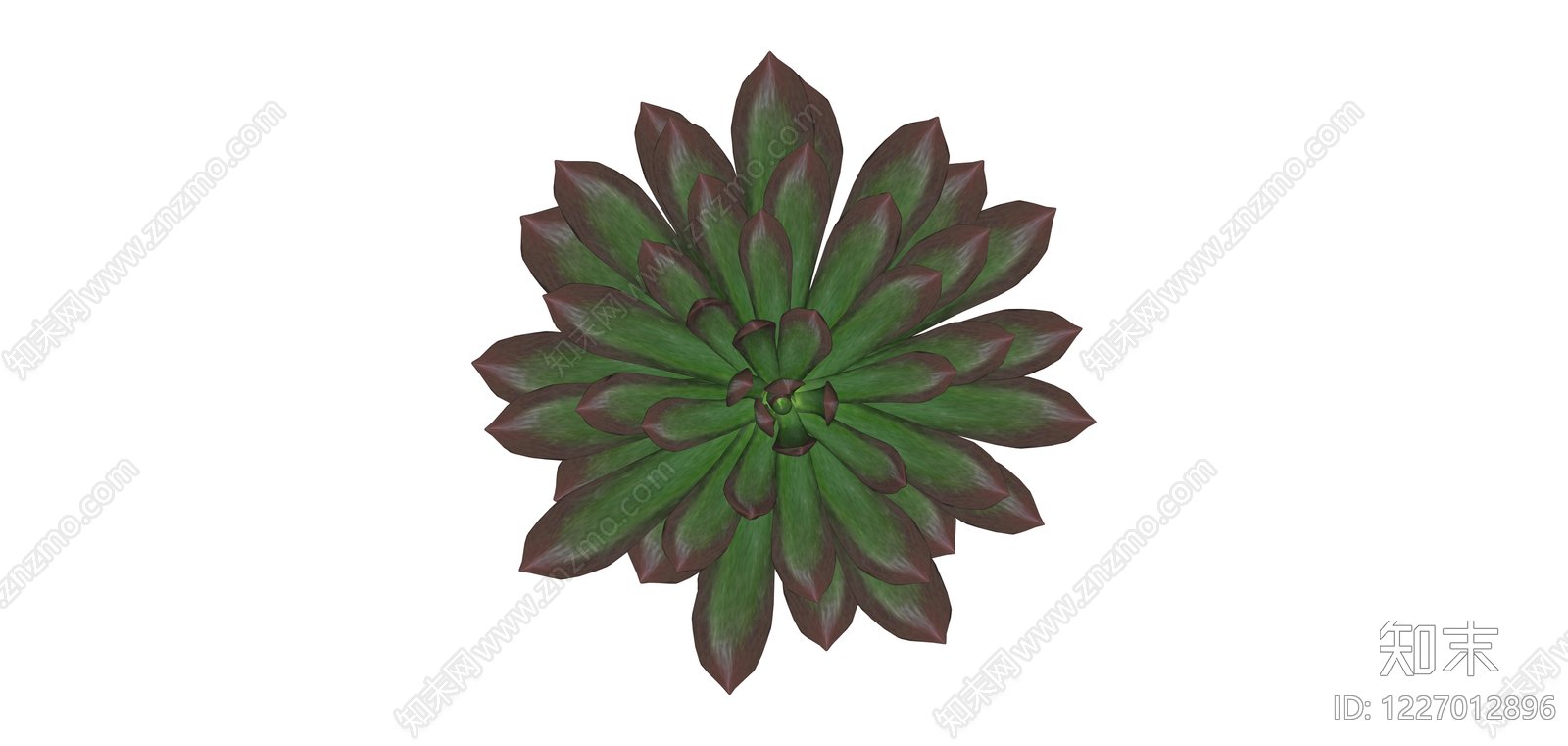 深色多肉植物盆栽SU模型下载【ID:1227012896】