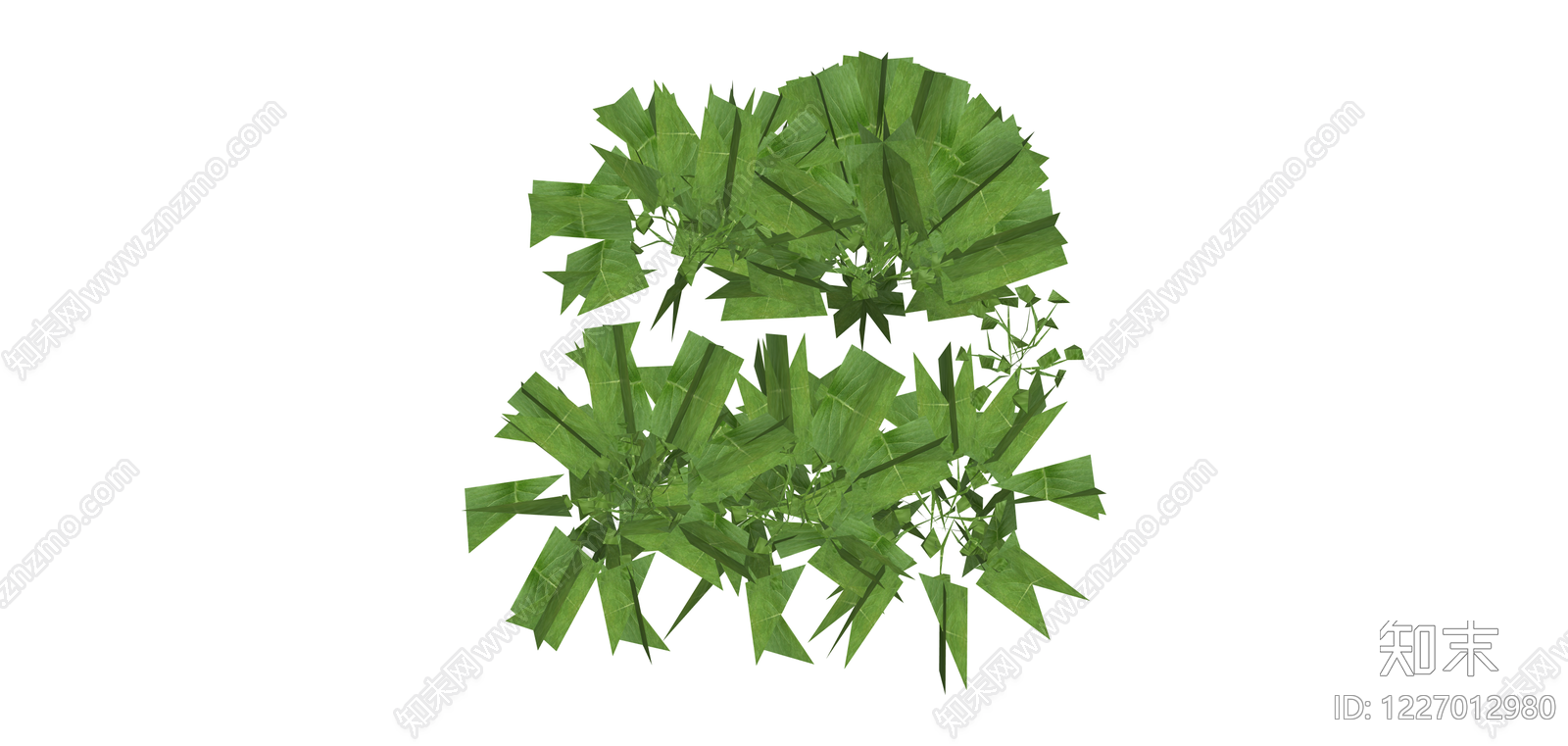 绿色阔叶植物模型SU模型下载【ID:1227012980】