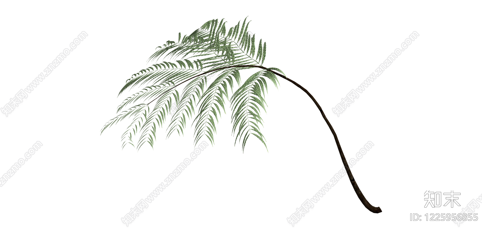 独立棕榈植物模型SU模型下载【ID:1225956855】