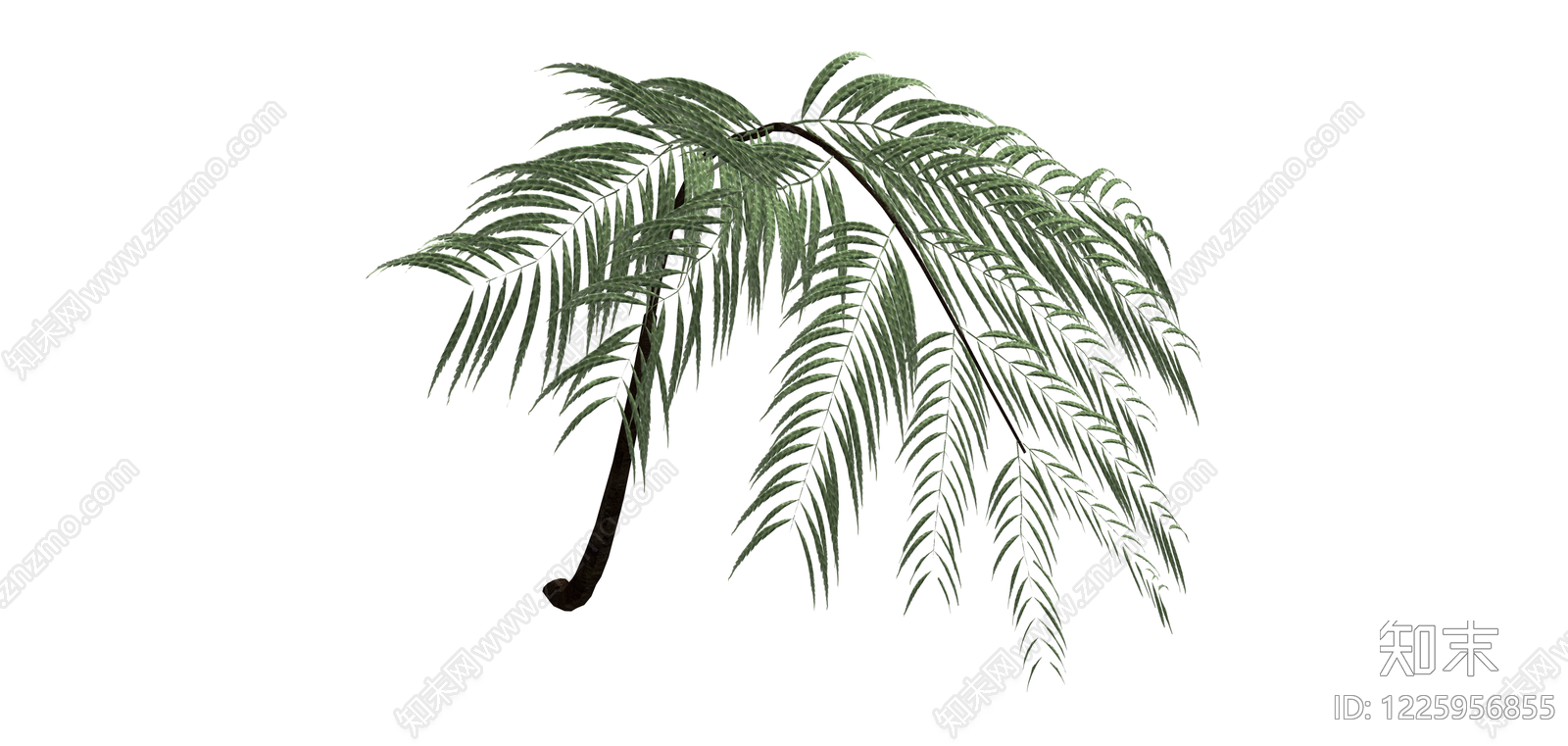 独立棕榈植物模型SU模型下载【ID:1225956855】