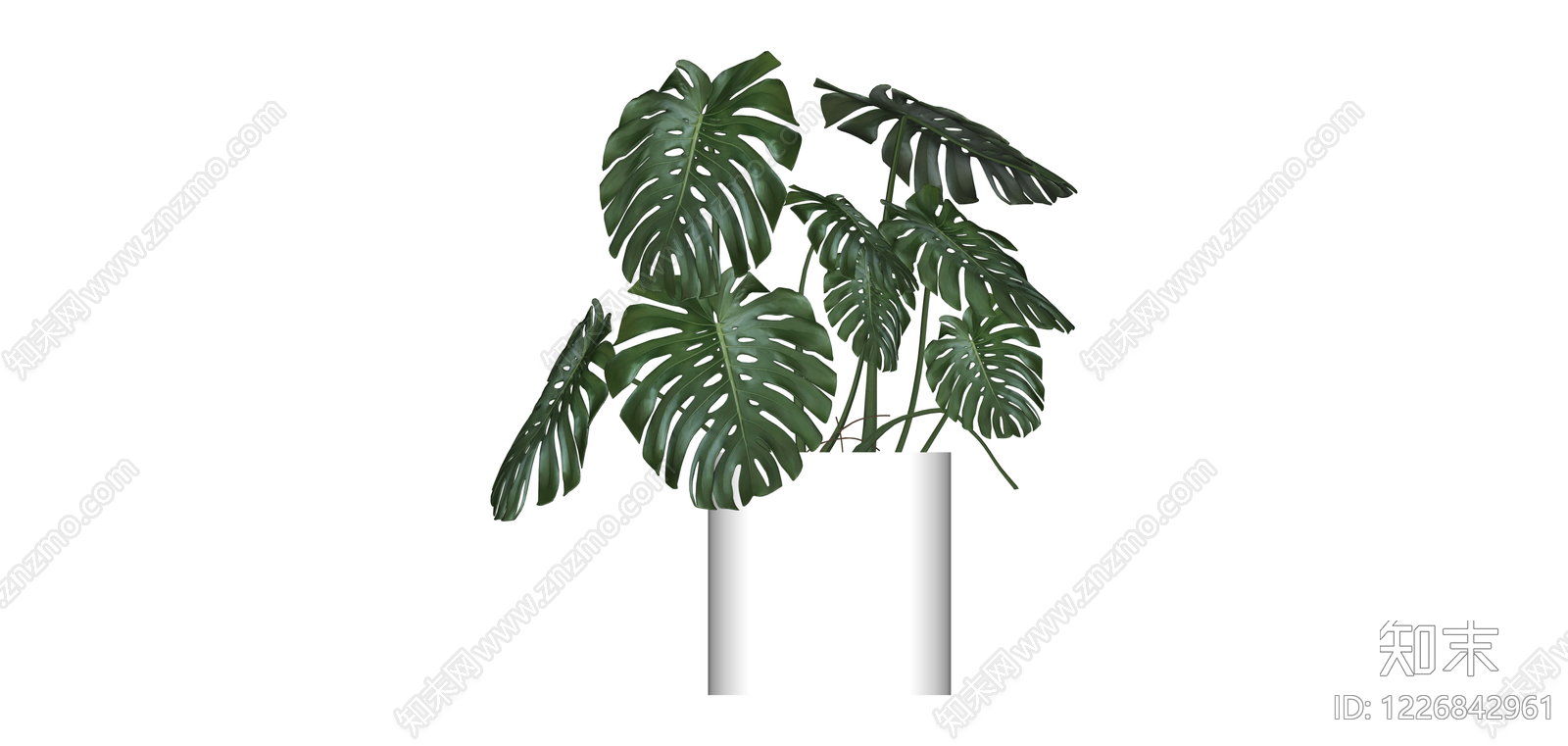 白色花盆龟背竹盆栽SU模型下载【ID:1226842961】