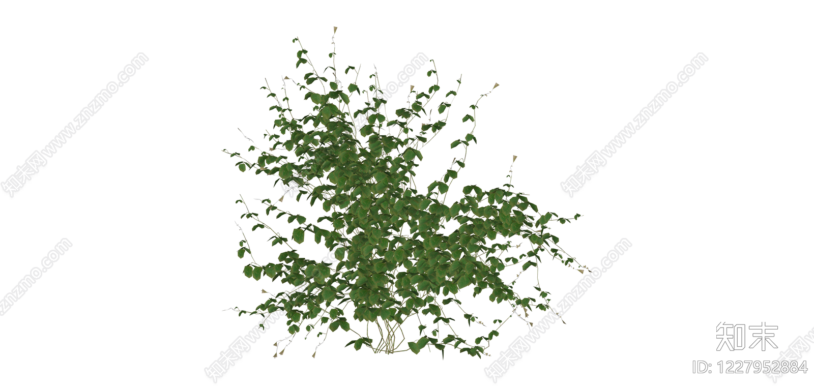绿色灌木植物SU模型下载【ID:1227952884】