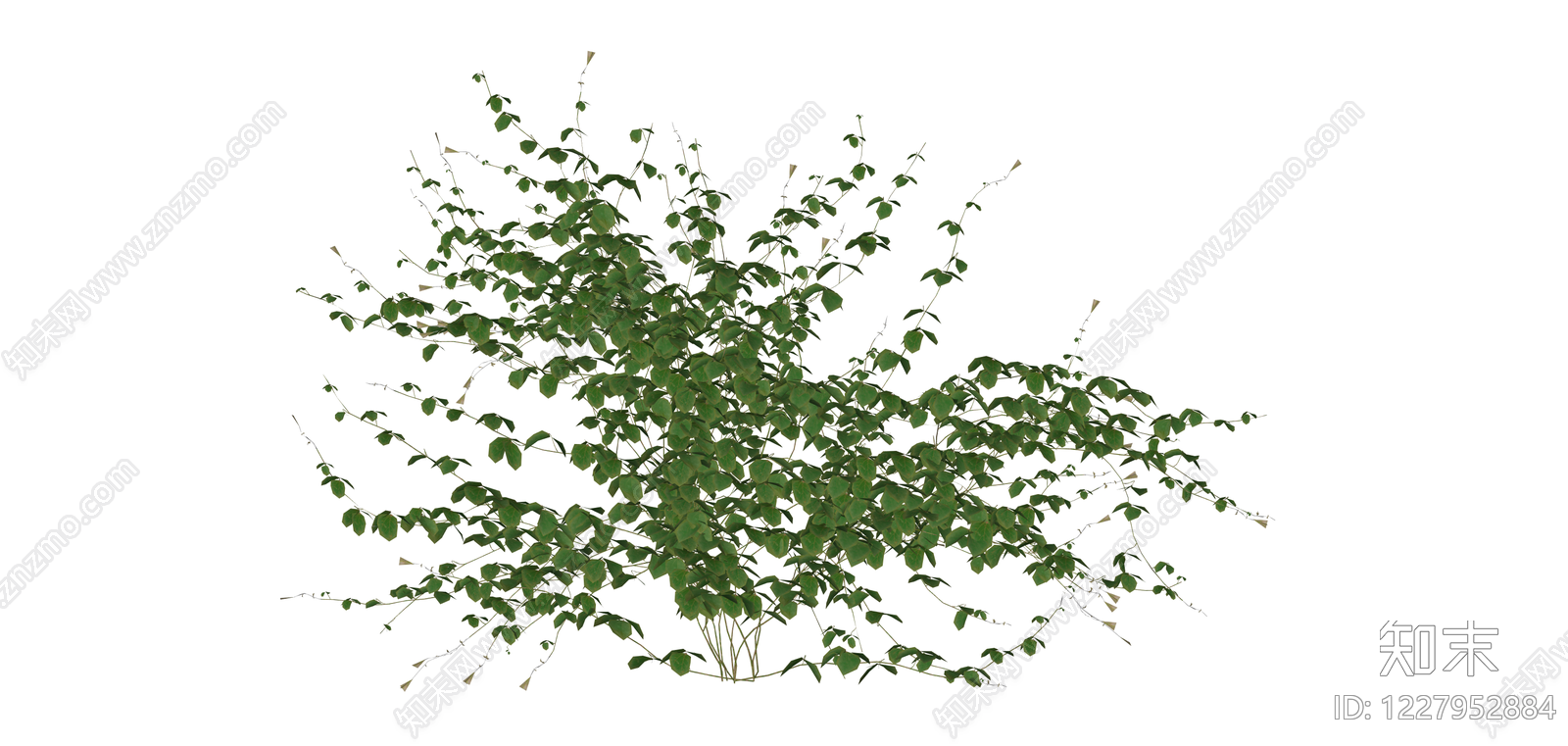 绿色灌木植物SU模型下载【ID:1227952884】