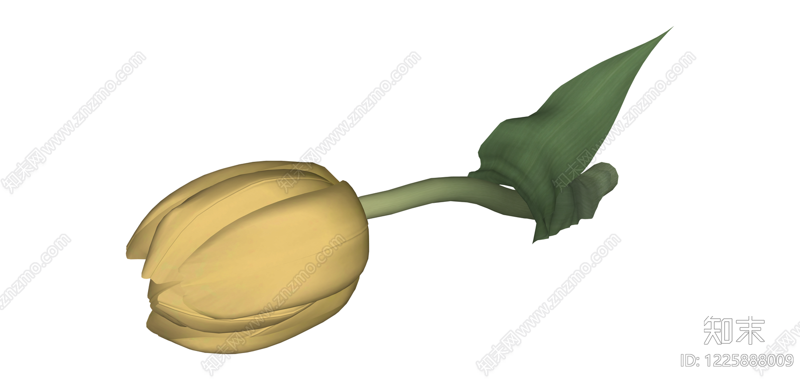 黄色郁金香植物SU模型下载【ID:1225888009】