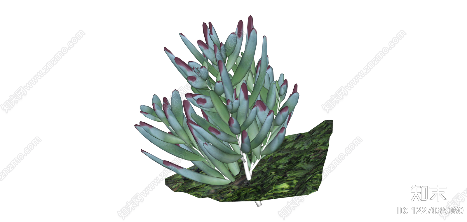 多肉植物盆栽组合SU模型下载【ID:1227035060】