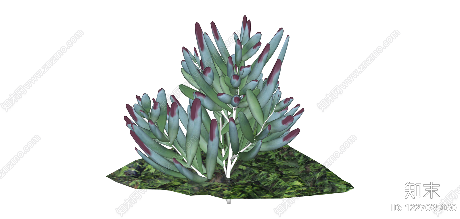 多肉植物盆栽组合SU模型下载【ID:1227035060】