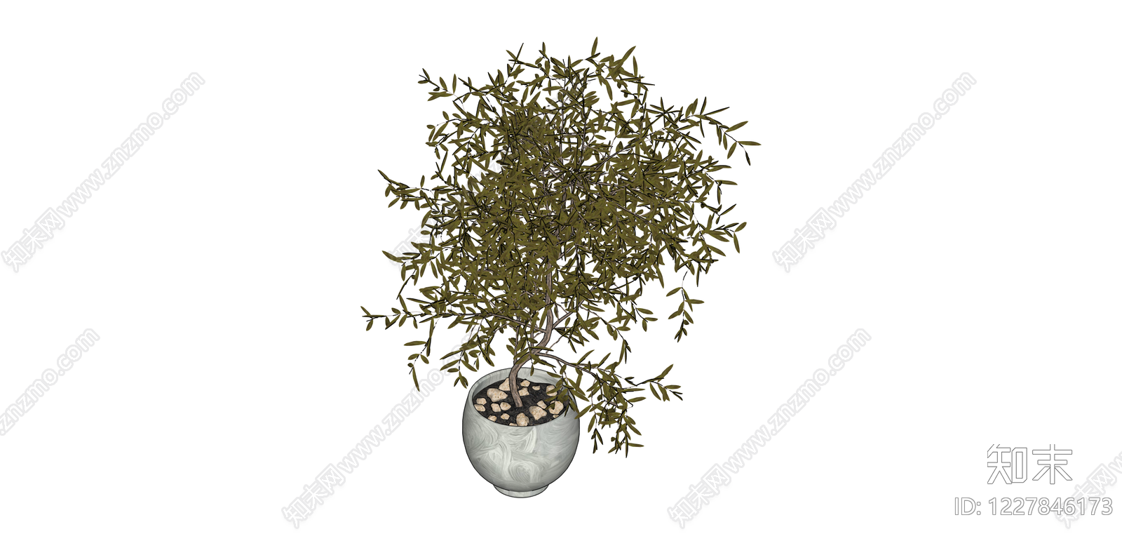 盆栽绿植（带盆）SU模型下载【ID:1227846173】