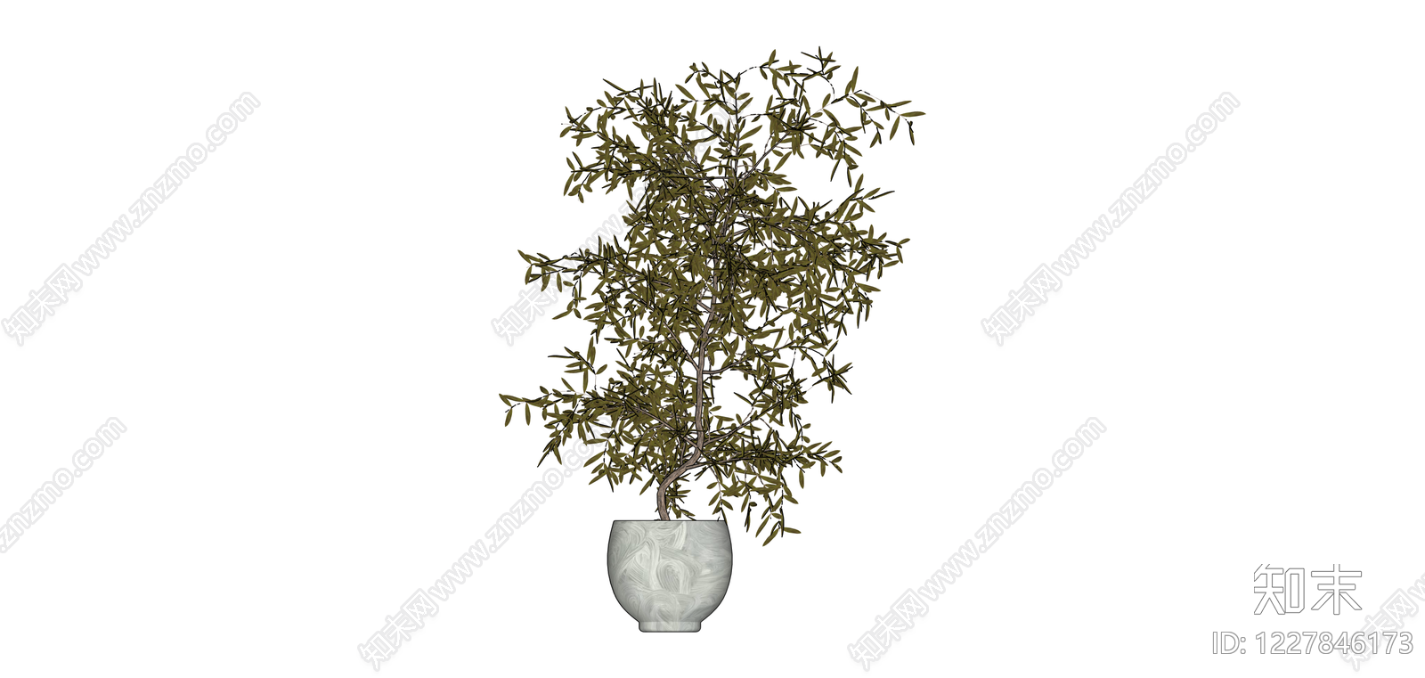 盆栽绿植（带盆）SU模型下载【ID:1227846173】