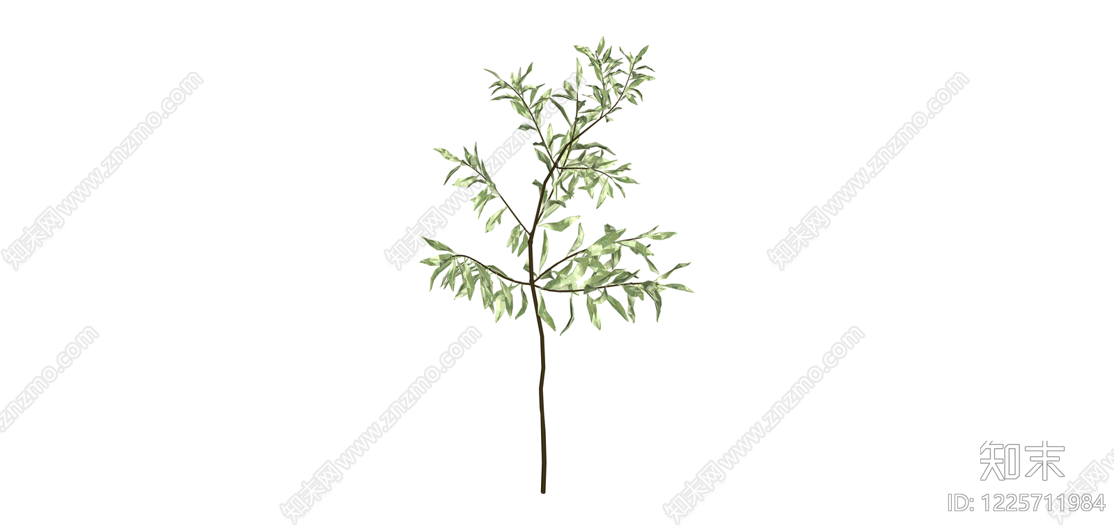柳叶植物模型SU模型下载【ID:1225711984】