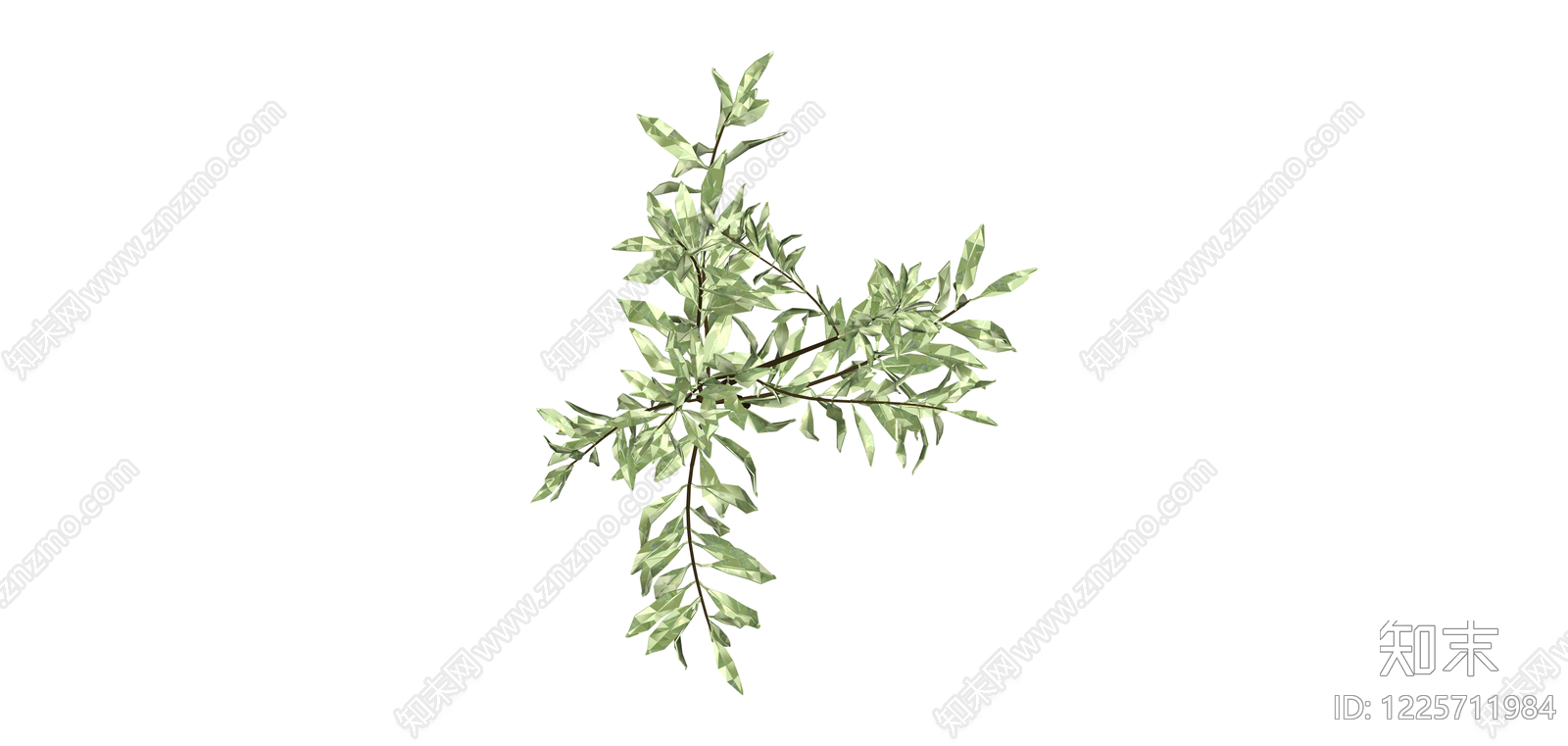 柳叶植物模型SU模型下载【ID:1225711984】