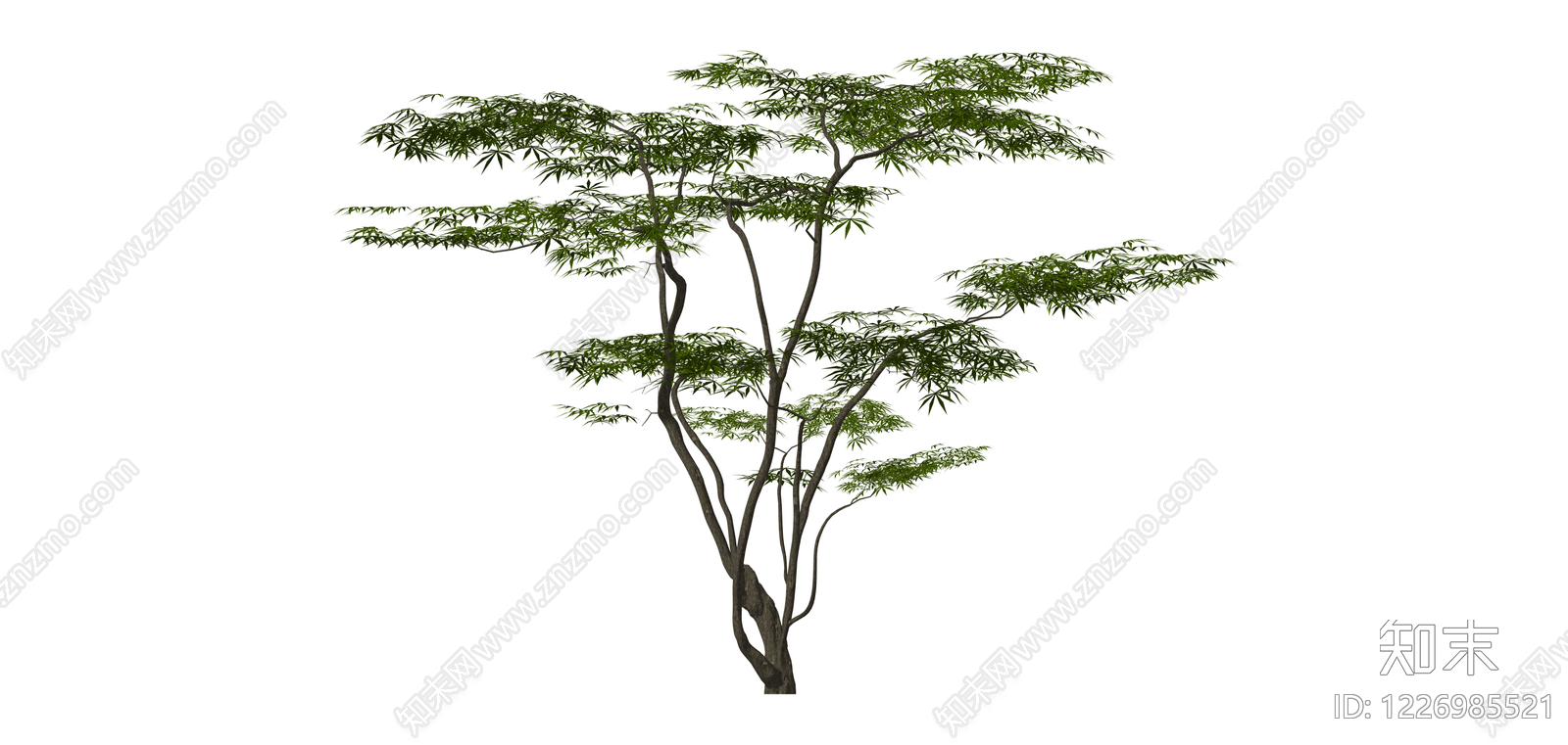 绿叶乔木模型SU模型下载【ID:1226985521】