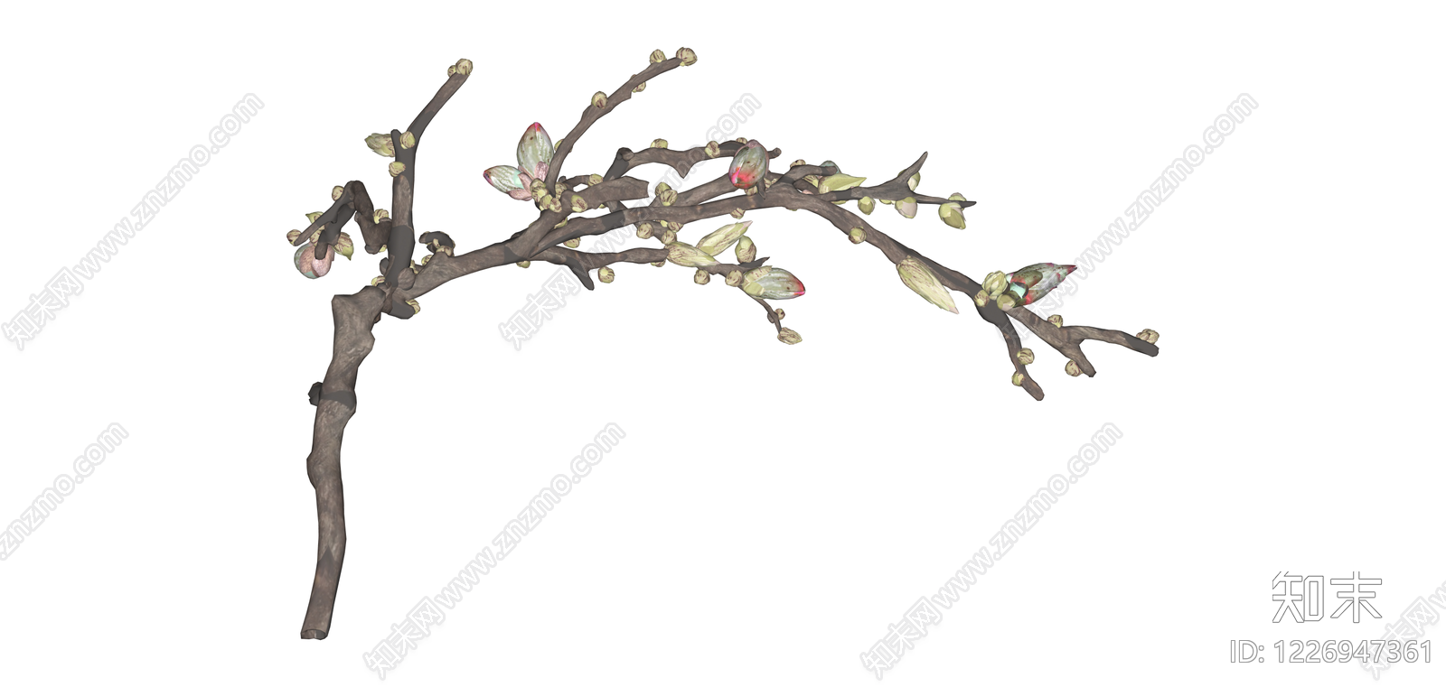 玉兰树枝干花艺SU模型下载【ID:1226947361】