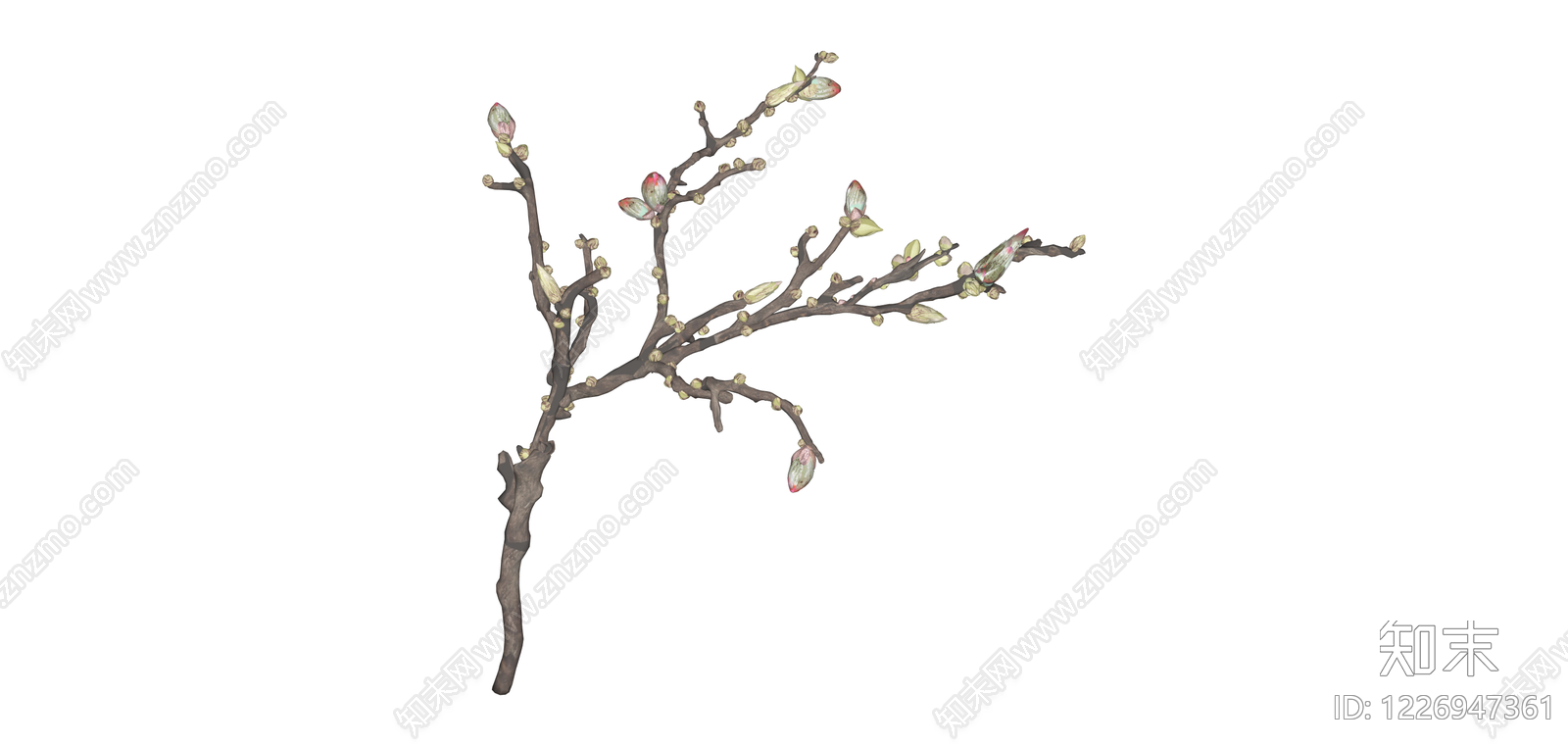 玉兰树枝干花艺SU模型下载【ID:1226947361】