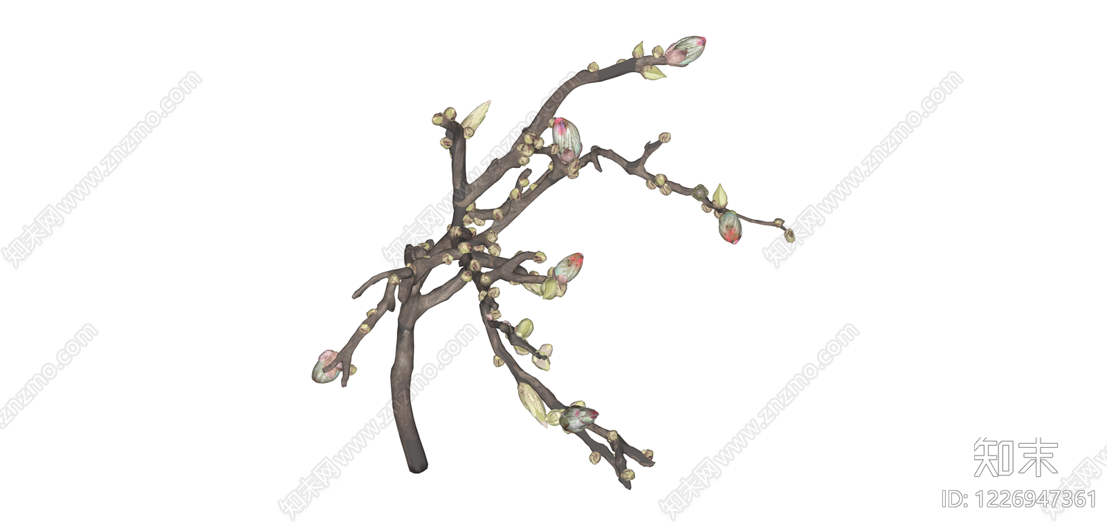 玉兰树枝干花艺SU模型下载【ID:1226947361】