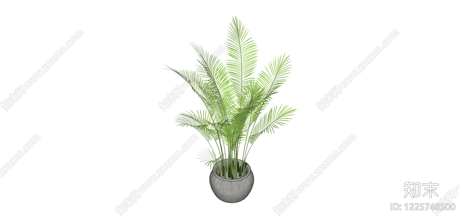 盆栽散尾葵绿植SU模型下载【ID:1225748500】