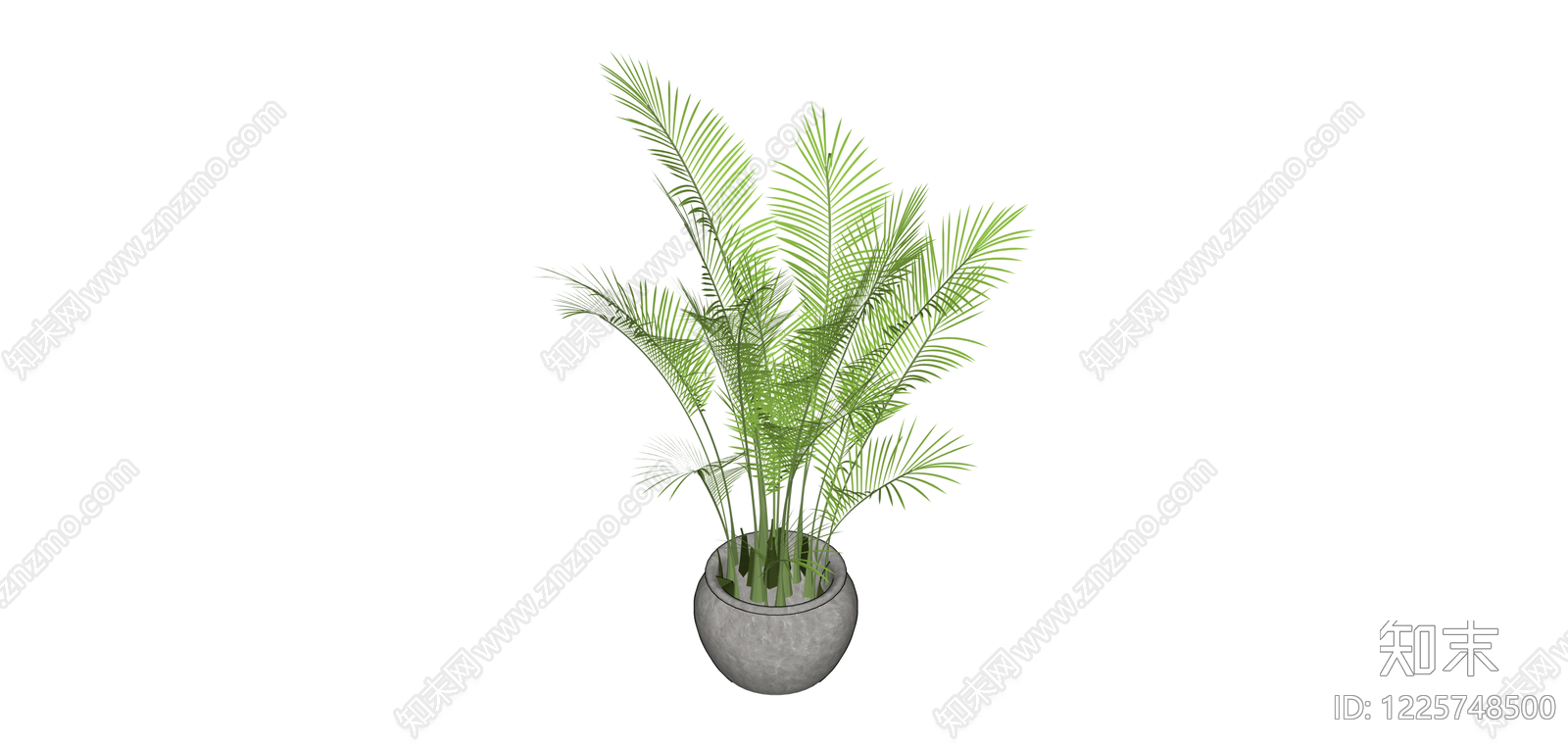 盆栽散尾葵绿植SU模型下载【ID:1225748500】