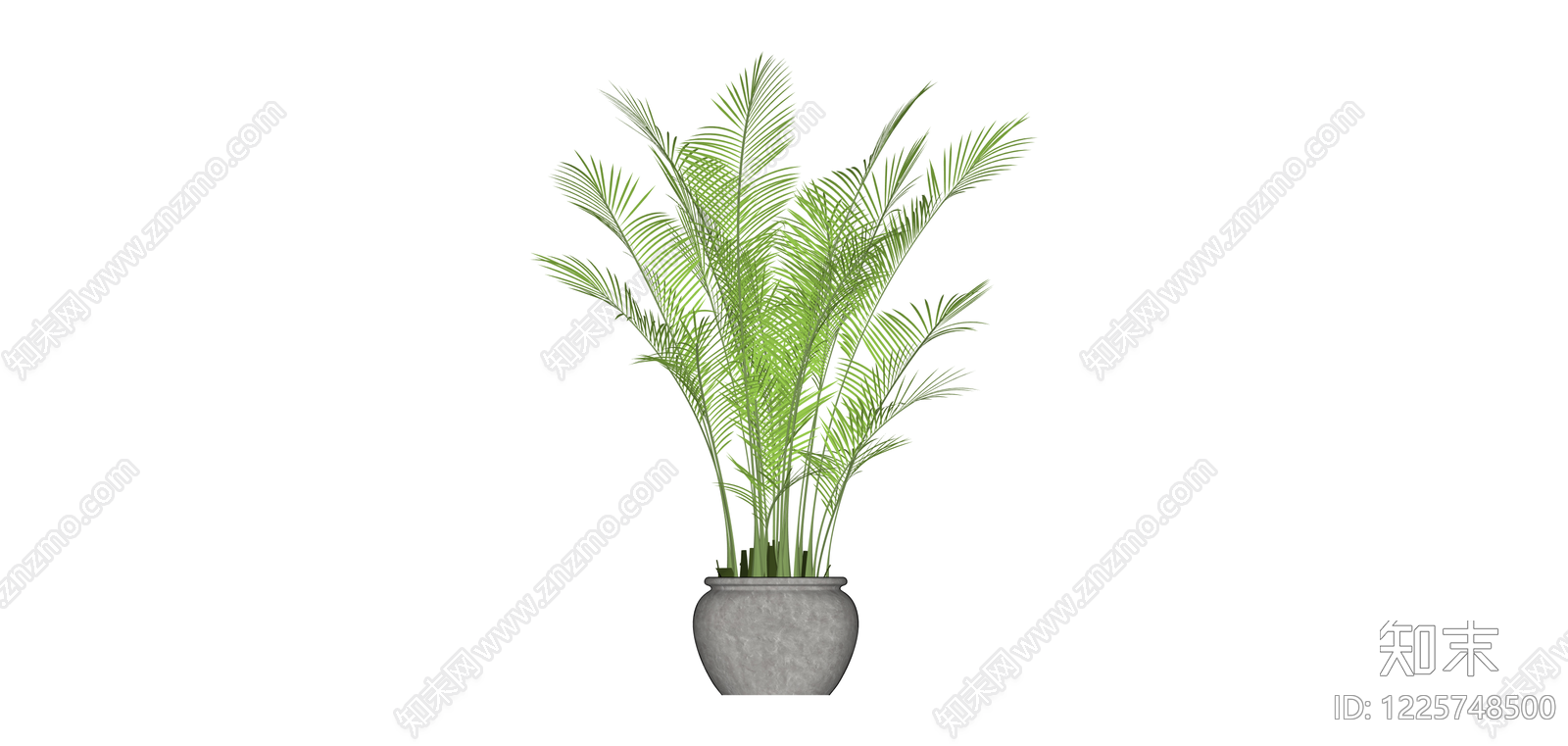 盆栽散尾葵绿植SU模型下载【ID:1225748500】