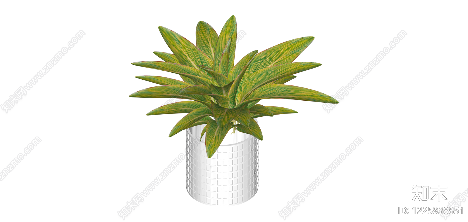 白盆绿植盆栽SU模型下载【ID:1225938851】