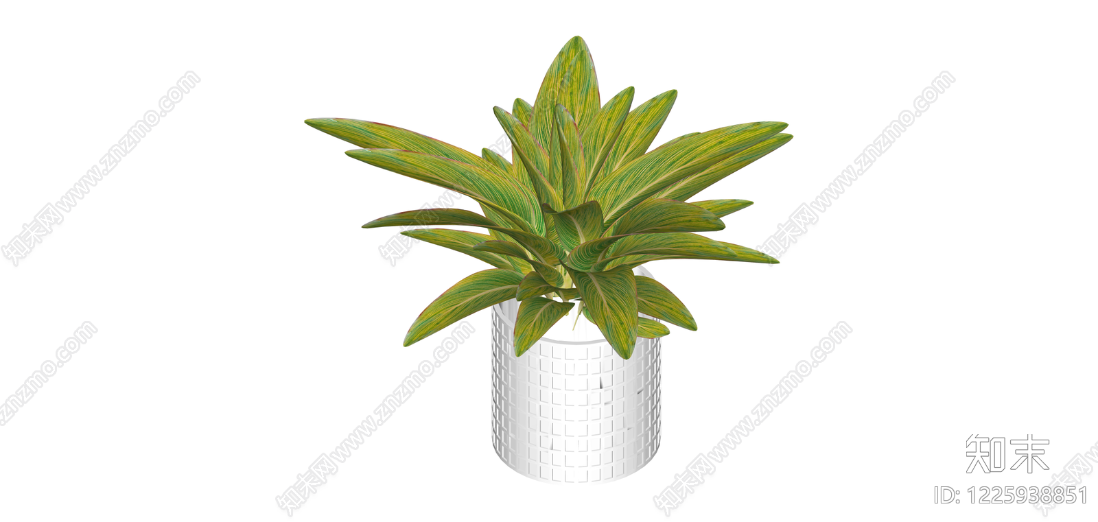 白盆绿植盆栽SU模型下载【ID:1225938851】