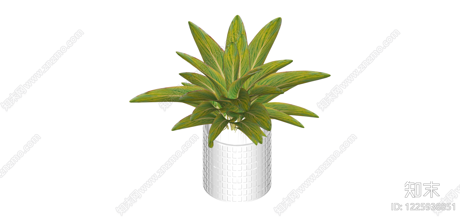 白盆绿植盆栽SU模型下载【ID:1225938851】