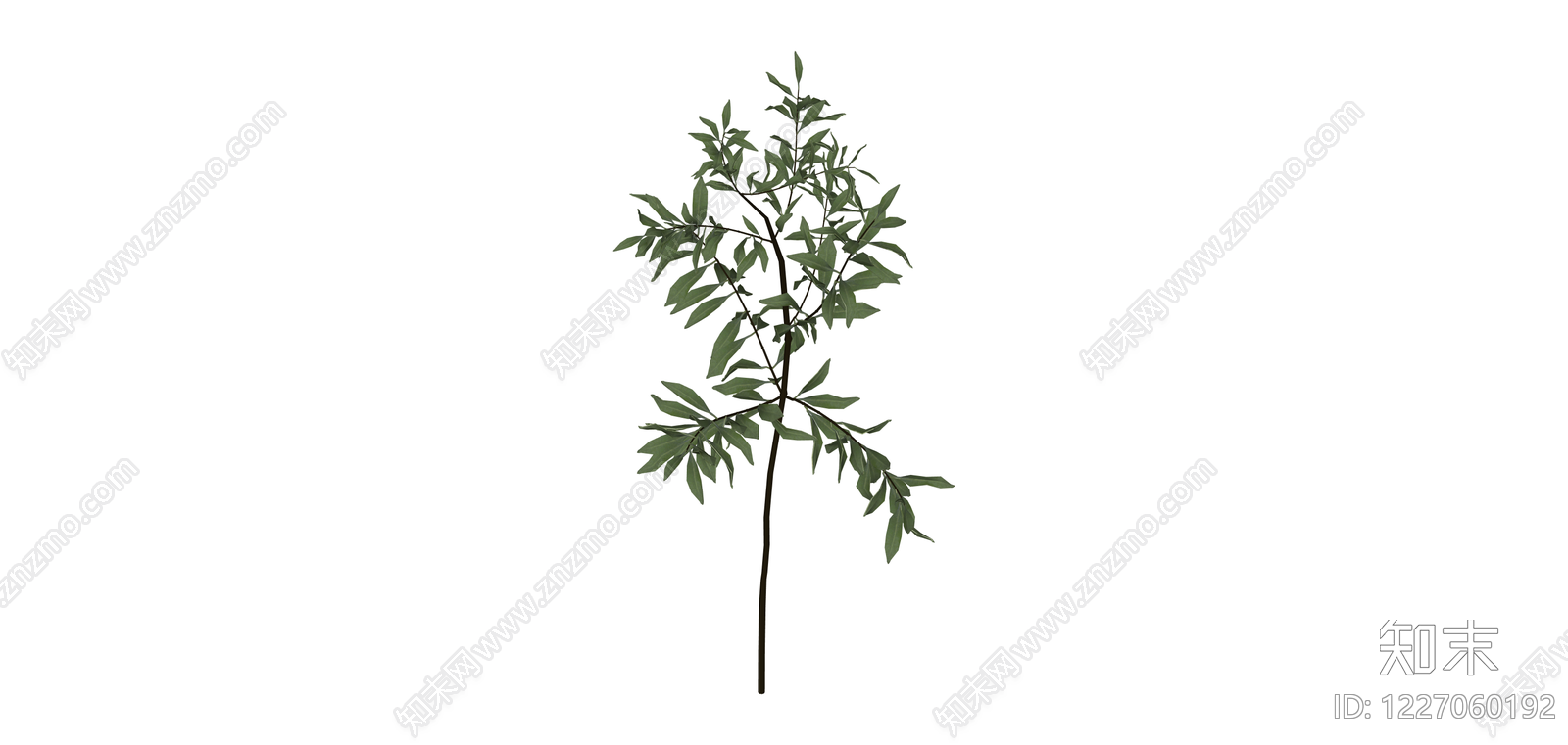 独立绿叶树木模型SU模型下载【ID:1227060192】