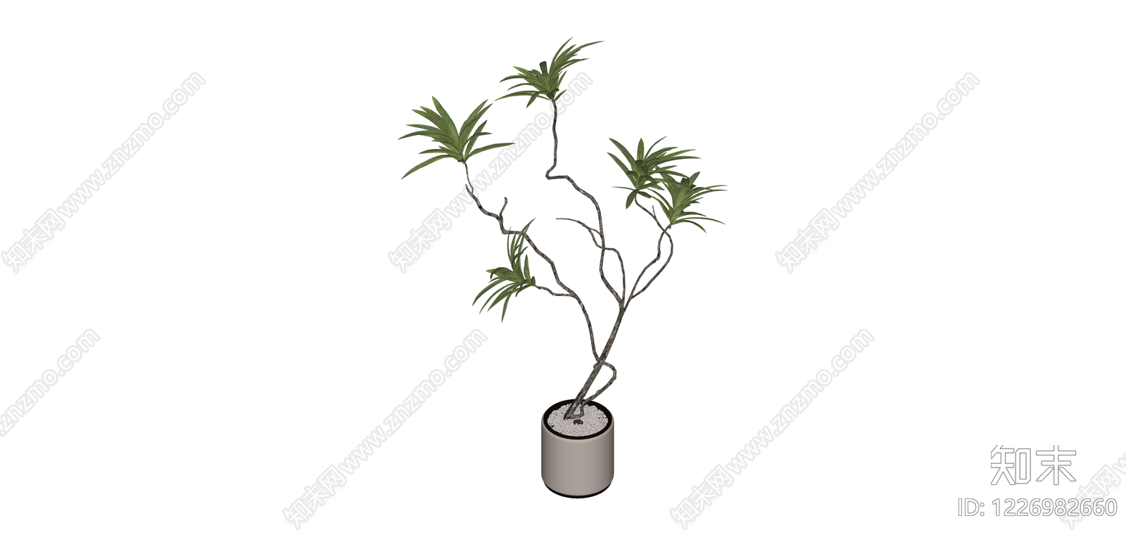 带盆绿植盆栽SU模型下载【ID:1226982660】