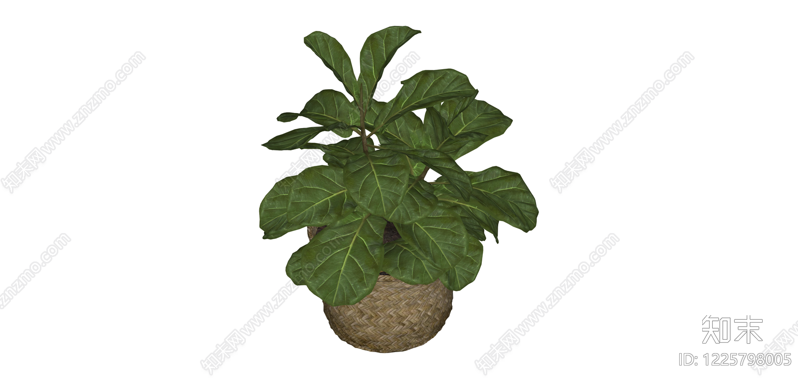 盆栽琴叶榕绿植SU模型下载【ID:1225798005】