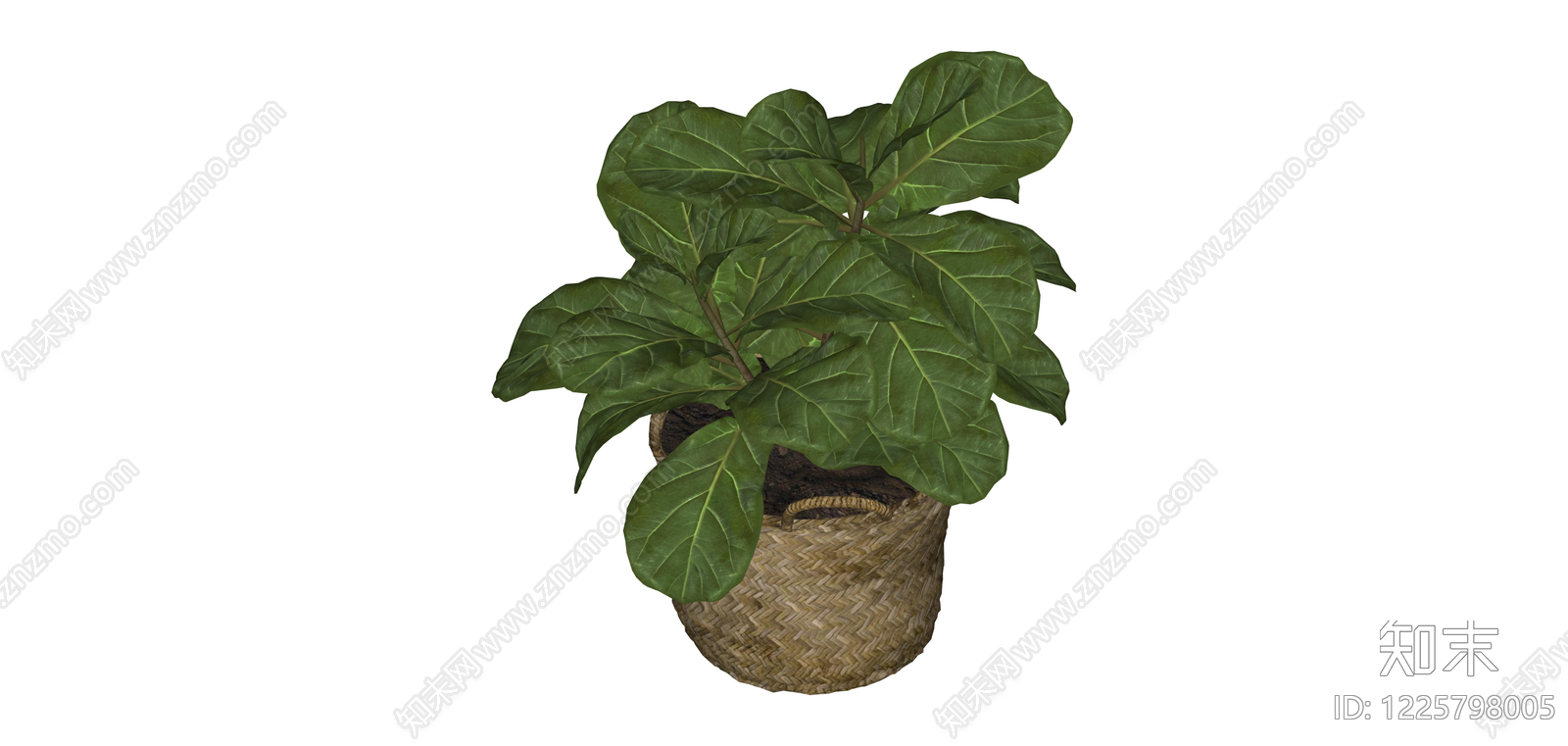 盆栽琴叶榕绿植SU模型下载【ID:1225798005】