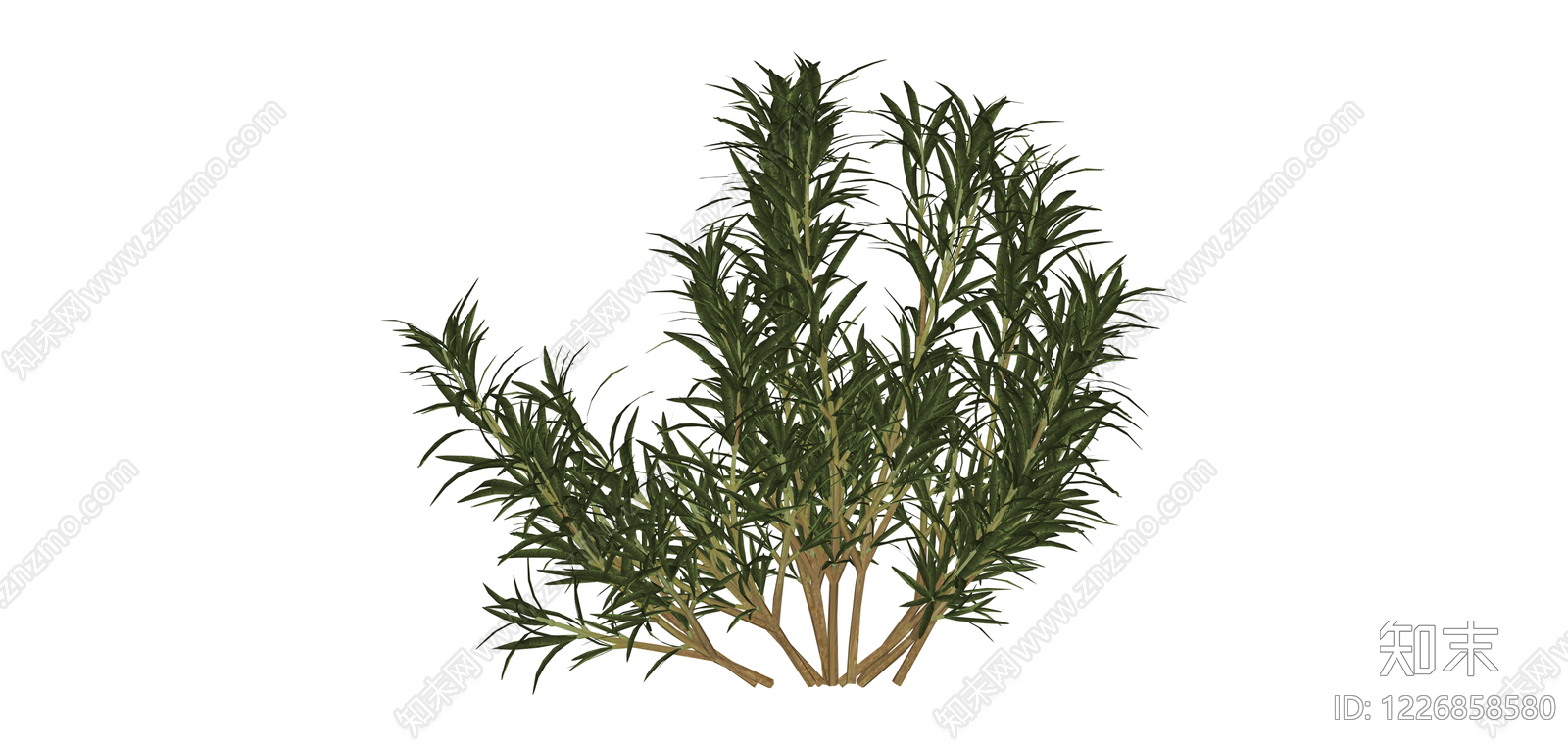 丛生灌木绿植模型SU模型下载【ID:1226858580】